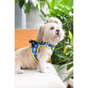 Pets Way Sunny Air Mesh Printed Harness for Puppies and Small Dogs Dogs-Collar, Leashes, harnesses Pets Way