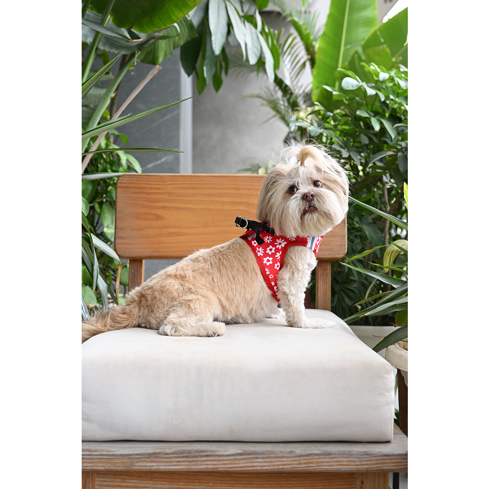 Pets Way Cupid Air Mesh Printed Harness for Puppies and Small Dogs Dogs-Collar, Leashes, harnesses Pets Way