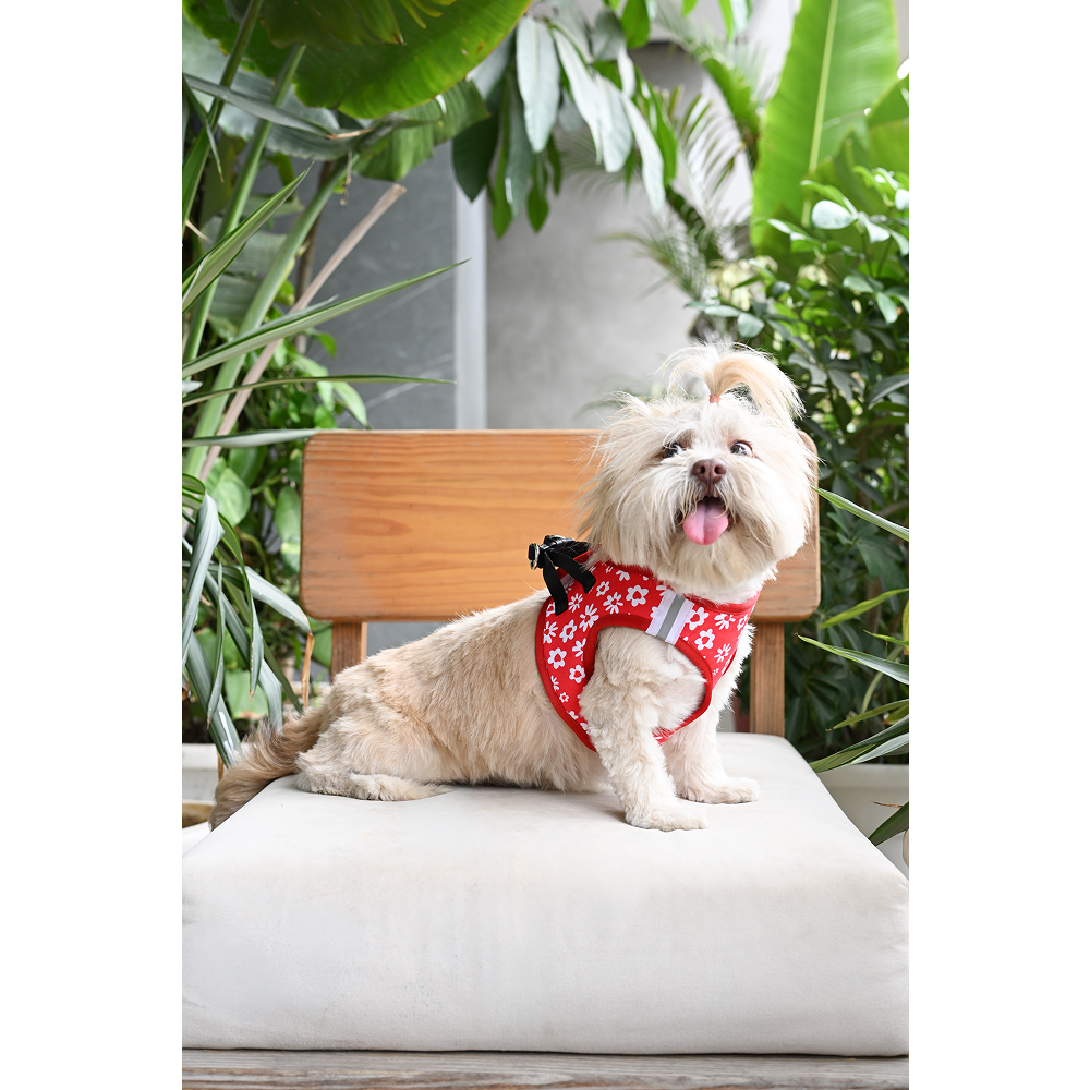 Pets Way Cupid Air Mesh Printed Harness for Puppies and Small Dogs Dogs-Collar, Leashes, harnesses Pets Way