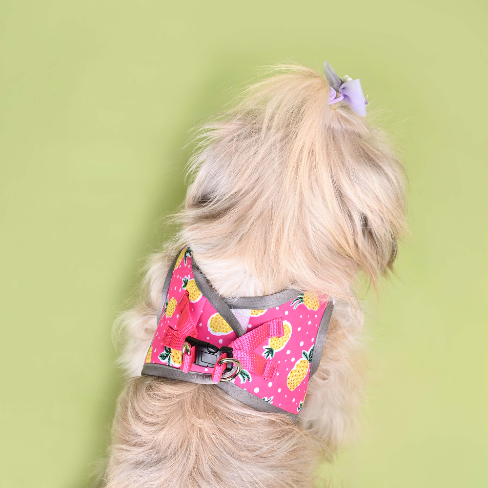 Pets Way Pine Air Mesh Printed Harness for Puppies and Small Dogs Dogs-Collar, Leashes, harnesses Pets Way
