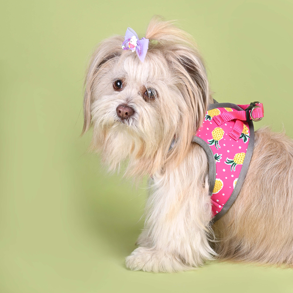 Pets Way Pine Air Mesh Printed Harness for Puppies and Small Dogs Dogs-Collar, Leashes, harnesses Pets Way