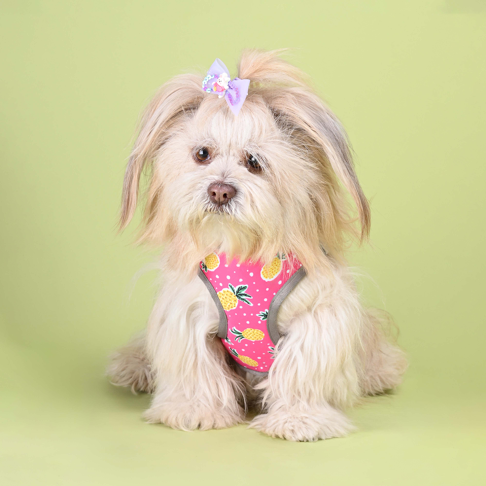 Pets Way Pine Air Mesh Printed Harness for Puppies and Small Dogs Dogs-Collar, Leashes, harnesses Pets Way