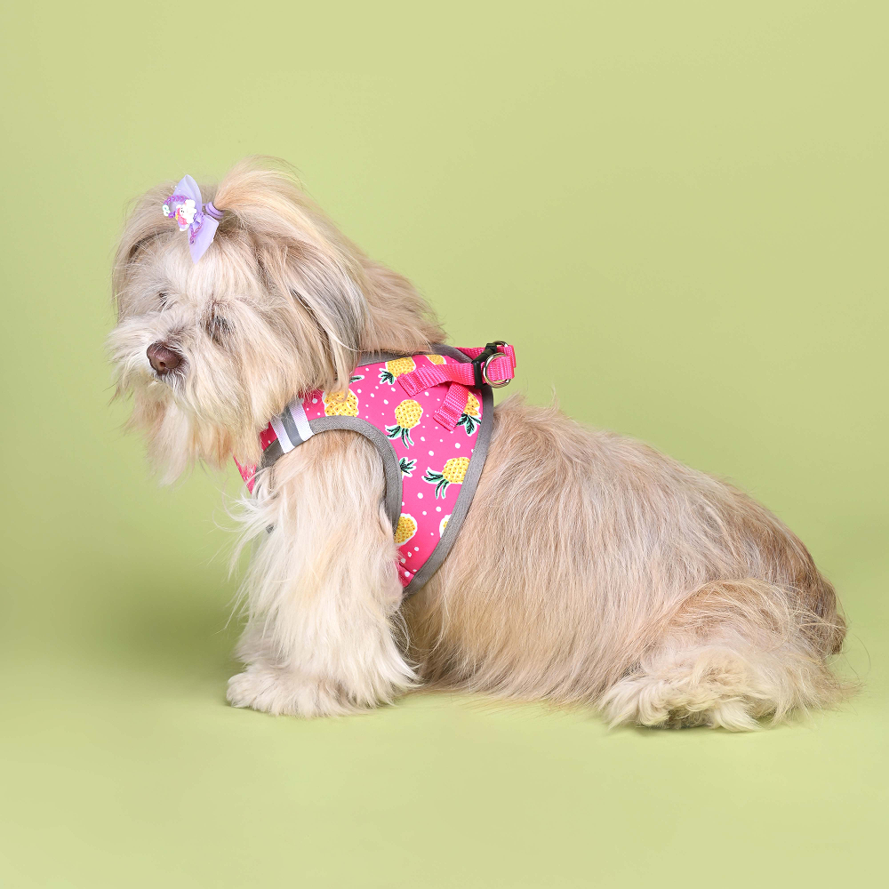 Pets Way Pine Air Mesh Printed Harness for Puppies and Small Dogs Dogs-Collar, Leashes, harnesses Pets Way