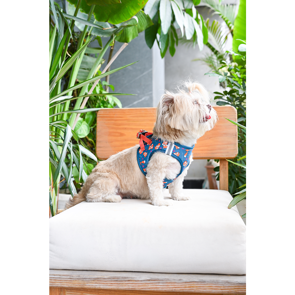 Pets Way Foxie Air Mesh Printed Harness for Puppies and Small Dogs Dogs-Collar, Leashes, harnesses Pets Way