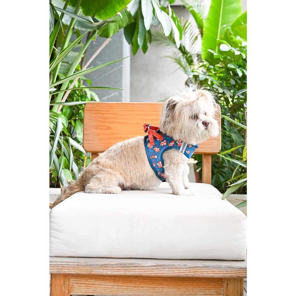 Pets Way Foxie Air Mesh Printed Harness for Puppies and Small Dogs Dogs-Collar, Leashes, harnesses Pets Way