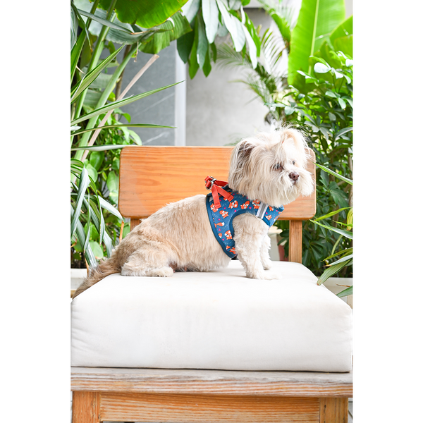 Pets Way Foxie Air Mesh Printed Harness for Puppies and Small Dogs