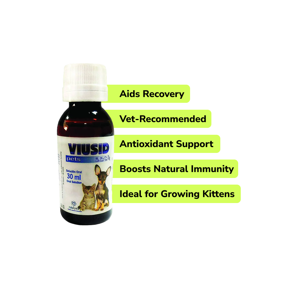 Preventive Care Kit Combo for Kitten (Dewormer + Spoton + Supplement + Probiotic) Cats-Pharmacy Exclusive Combo