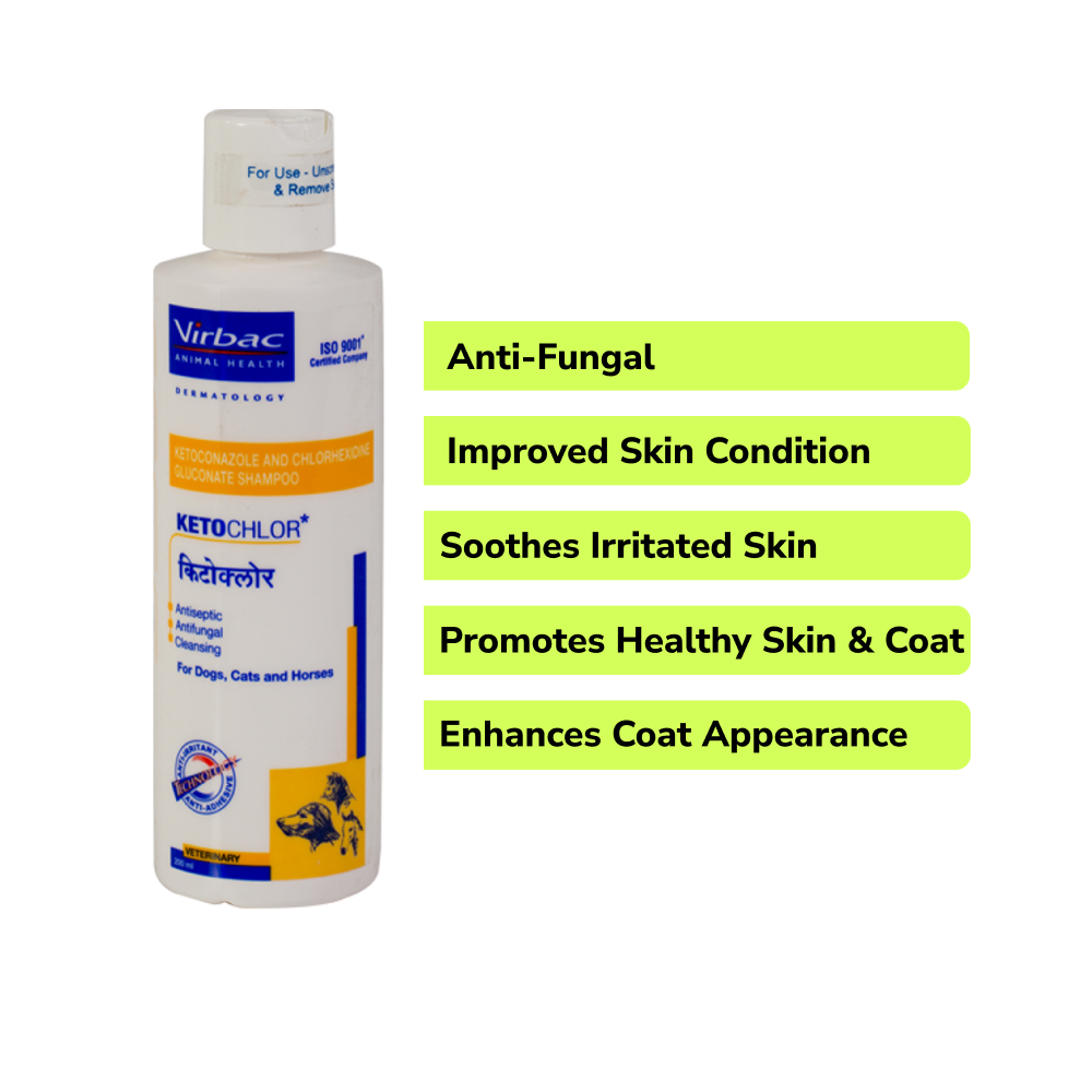 Fungal Infection Care SuperKit for Dogs and Cats Both-Pharmacy Exclusive Combo