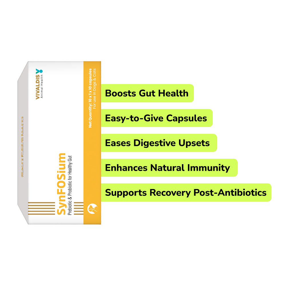 Preventive Care Kit Combo for Small Dogs (Dewormer + Spoton + Supplement + Probiotic) Dogs-Pharmacy Exclusive Combo
