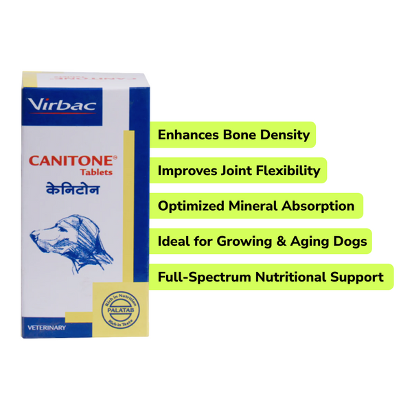 Preventive Care Kit Combo for Large Dogs (Dewormer + Spoton + Supplement + Probiotic)