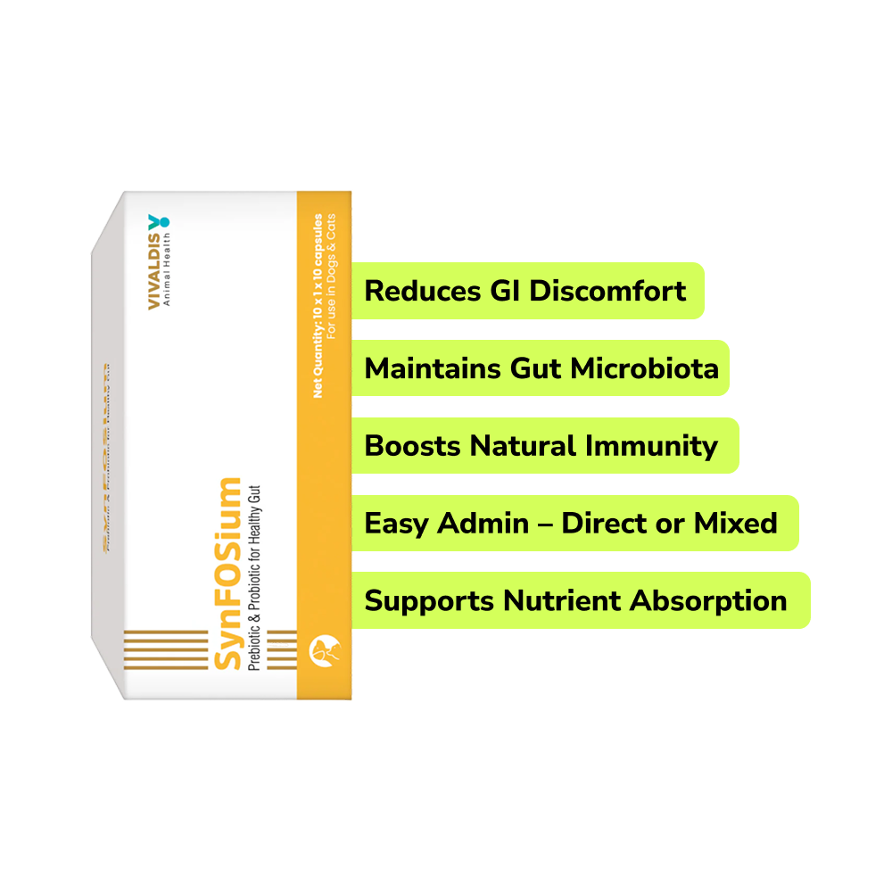 Preventive Care Kit Combo for Large Dogs (Dewormer + Spoton + Supplement + Probiotic) Dogs-Pharmacy Exclusive Combo