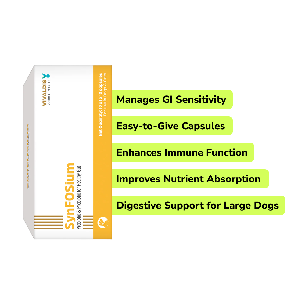 Preventive Care Kit Combo for Extra Large Dogs (Dewormer + Spoton + Supplement + Probiotic) Dogs-Pharmacy Exclusive Combo