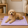 Pet Set Go Coloured Mat for Dogs (Lavender) Dogs-Bedding, Mats & Travel Supplies Pet Set Go Dropship S