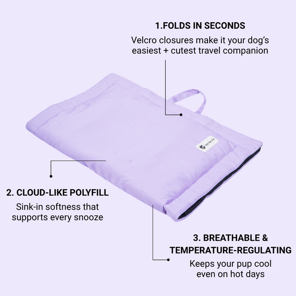 Pet Set Go Coloured Mat for Dogs (Lavender)