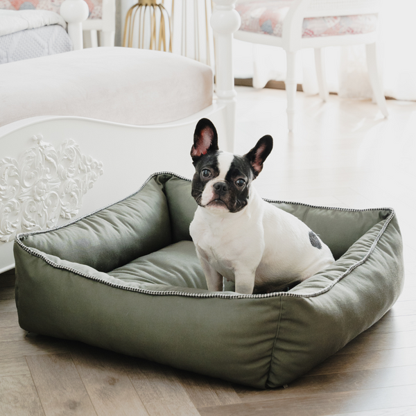 Pet Set Go The Olive Lounger for Dogs