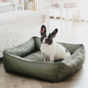 Pet Set Go The Olive Lounger for Dogs Dogs-Bedding, Mats & Travel Supplies Pet Set Go Dropship S