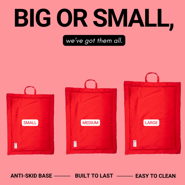 Pet Set Go Coloured Mat for Dogs (Red)