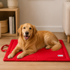 Pet Set Go Coloured Mat for Dogs (Red) Dogs-Bedding, Mats & Travel Supplies Pet Set Go Dropship S