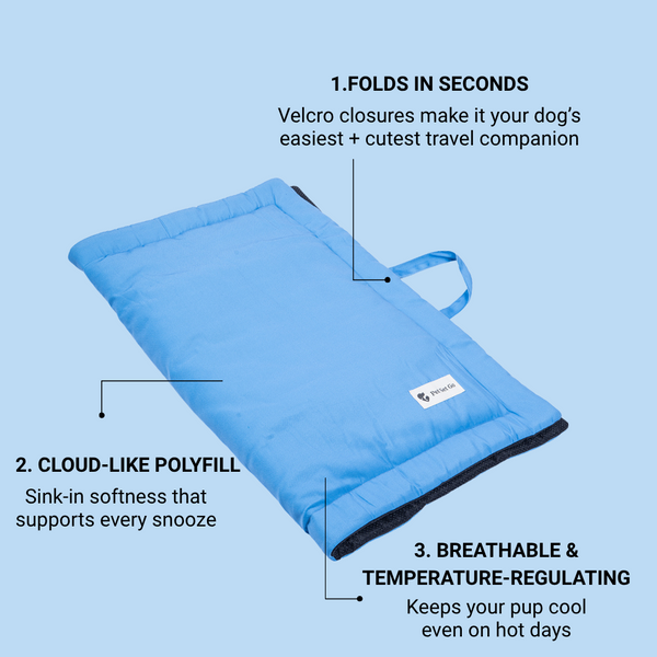 Pet Set Go Coloured Mat for Dogs (Blue)