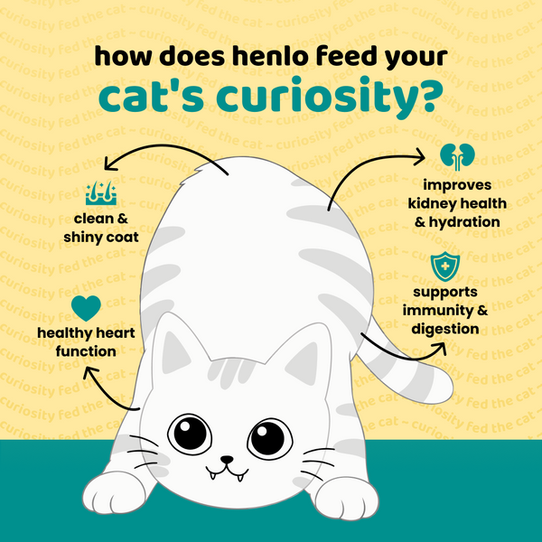 Henlo Tuna in Gravy with Chicken Adult Cat Wet Food | 100% Human Grade Ingredients