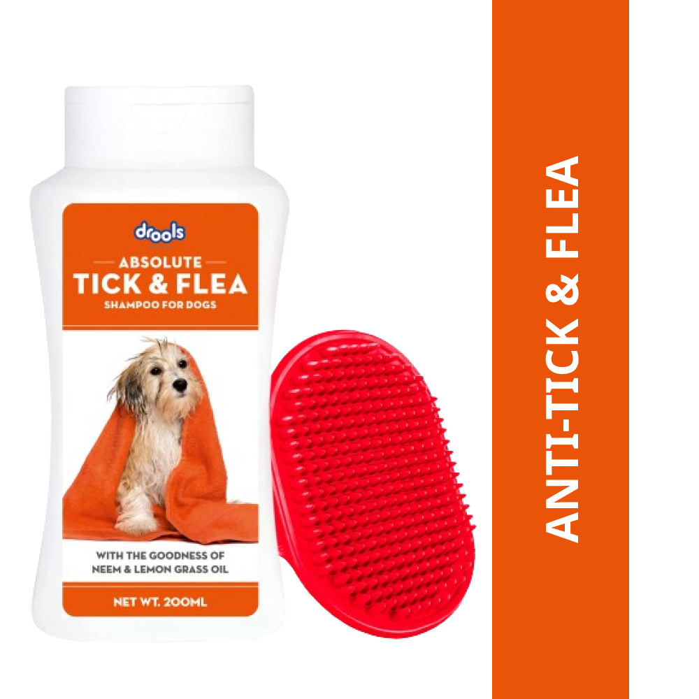 Drools Tick and Flea Repellent Shampoo for Dogs (Free Hand Brush)