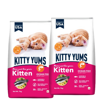 Kitty Yums Ocean Fish Kitten (1 to 12 Months) Cat Dry Food