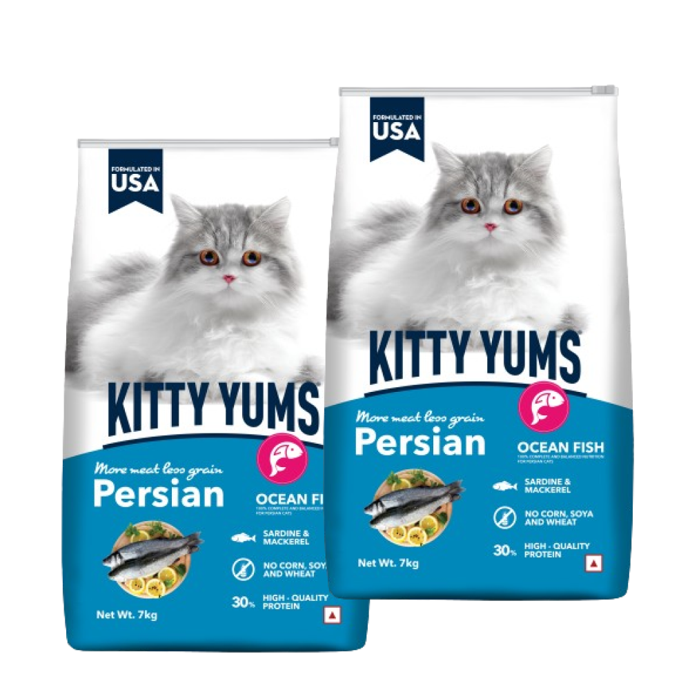 Kitty Yums Ocean Fish Persian Cat Dry Food - Main Image