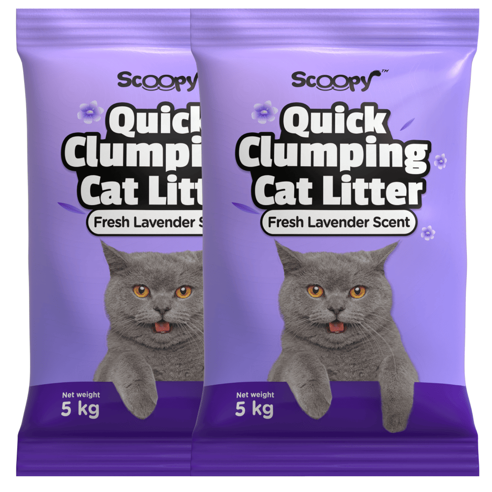 Scoopy Cat Litter Lavender Scented 100% Natural Indian Brown