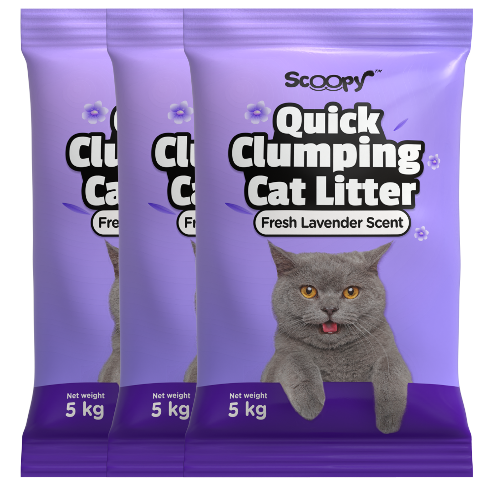 Quick clumping cat litter best sale