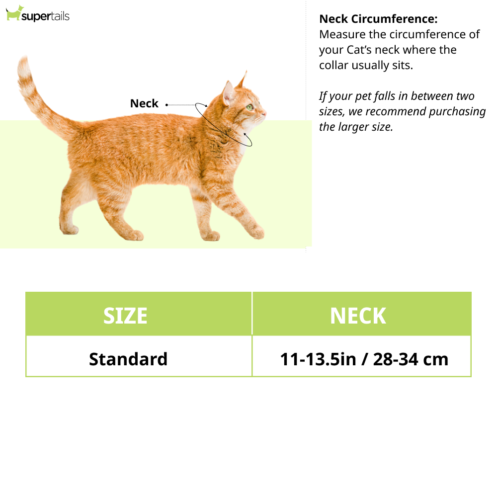 Mitag Anti Loss Device with Collar for Cats (Grey) | IOS Cats-Collar, Leashes, harnesses Mitag Dropship