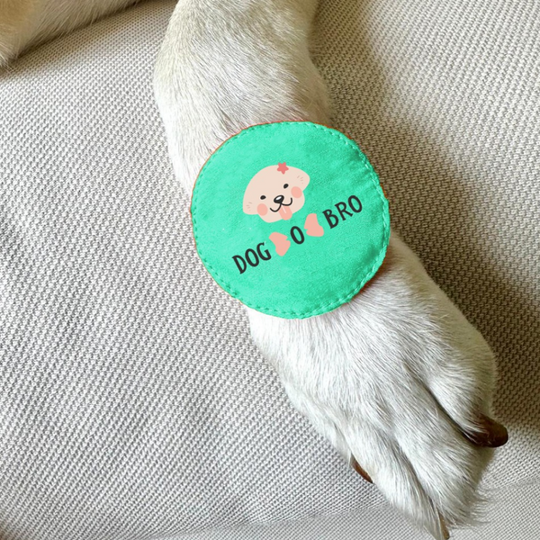 Raksha Bandhan Dog O Bro Rakhi for Dogs & Cats by Dogobow