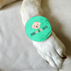 Raksha Bandhan Dog O Bro Rakhi for Dogs & Cats by Dogobow Both-Clothing & Accessories Dogobow Dropship One Size