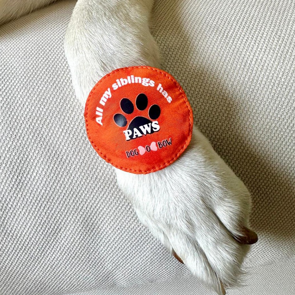 Raksha Bandhan All My Siblings Has Paws Rakhi for Dogs & Cats by Dogobow