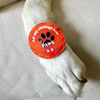 Raksha Bandhan All My Siblings Has Paws Rakhi for Dogs & Cats by Dogobow Both-Clothing & Accessories Dogobow Dropship One Size
