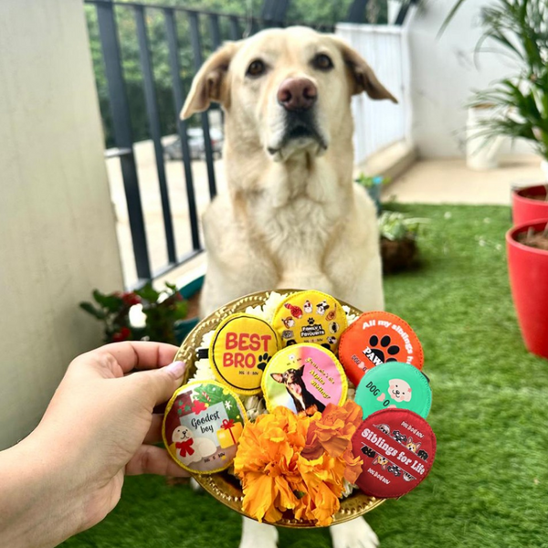 Raksha Bandhan Siblings for Life Rakhi for Dogs & Cats by Dogobow