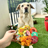 Raksha Bandhan Alpha Sibling Rakhi for Dogs & Cats by Dogobow Both-Clothing & Accessories Dogobow Dropship