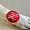 Raksha Bandhan Siblings for Life Rakhi for Dogs & Cats by Dogobow Both-Clothing & Accessories Dogobow Dropship One Size