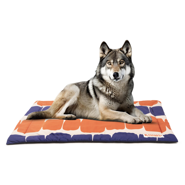 Kibbo Lightweight and Portable Mats for Dogs and Cats (Orange/Blue)