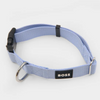 Boss Core Walk Collar for Dogs (Bel Air Blue)