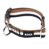 Boss Core Walk Collar for Dogs (Stripe)