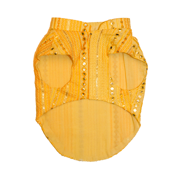 The Papaw Cartel Sunrise Koti Kurta Set with Mirror Embroidery for Dogs (Yellow)