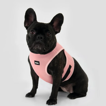 Boss Core Walk Harness for Dogs (Pink Cream)