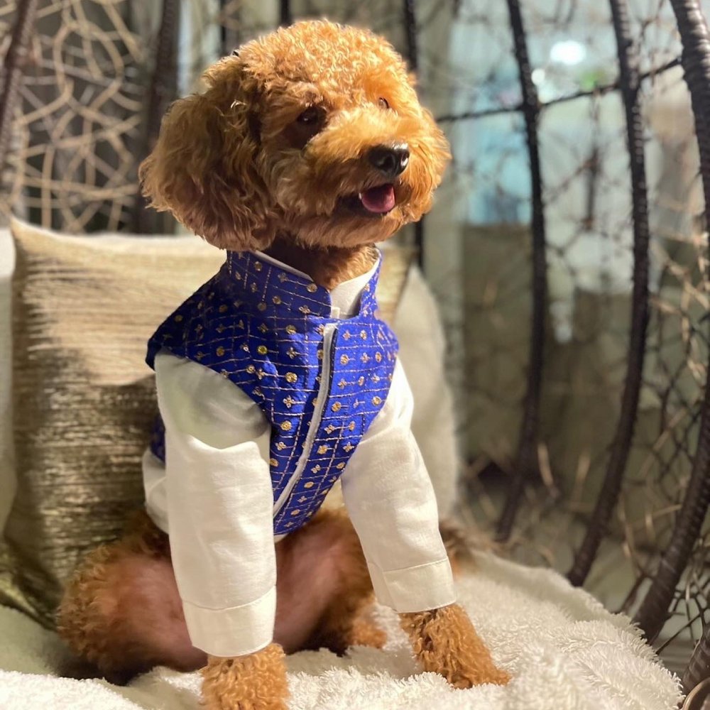 The Papaw Cartel Koti with Kurta Set for Dogs (Blue) Dogs-Clothing & Accessories The Papaw Cartel Dropship S