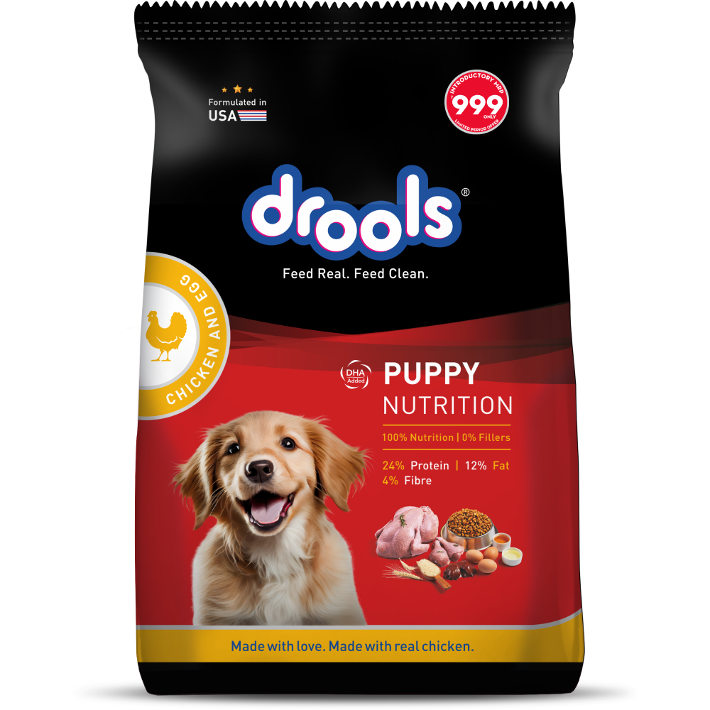 Buy Drools Chicken Egg Puppy Dog Dry Food Online in India Supertails