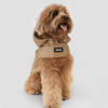 Boss Raincoat for Dogs (Camel) Dogs-Clothing & Accessories Boss Dropship
