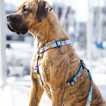 Max & Molly Blue Ocean Harness for Dogs (Blue)