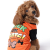 The Happy Lots Pet Halloween Tshirt for Dogs (Orange) Dogs-Clothing & Accessories The Happy Lots Dropship XS