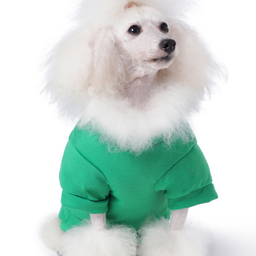 The Happy Lots Pet Halloween Tshirt for Dogs (Green)