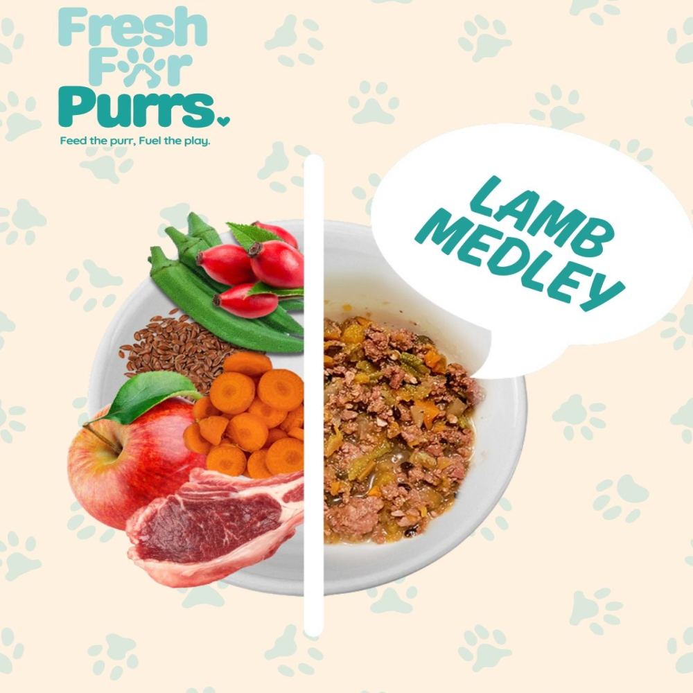 Fresh For Purrs Lamb Medley Wet Food for Cats Cats-Fresh Food Fresh For Purrs