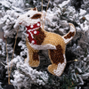 Furry Tales Rowdy Off to Party Indie Dog Handcrafted Charm Pet Parent-Gifting & Merch Furry Tales Dropship 4x3in